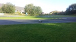 20150830_095413.jpg